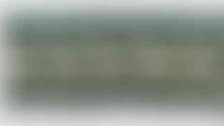 Hundehalsband aus Paracord mit den Farben Grün, Grau und weiss Schweiz