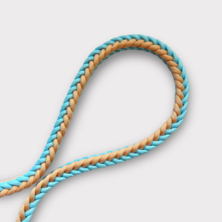 Paracord-Leine