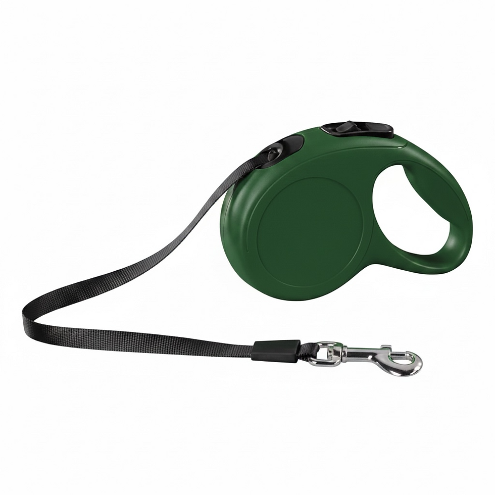 Flexi-Leine für Hunde in Dunkelgrün.