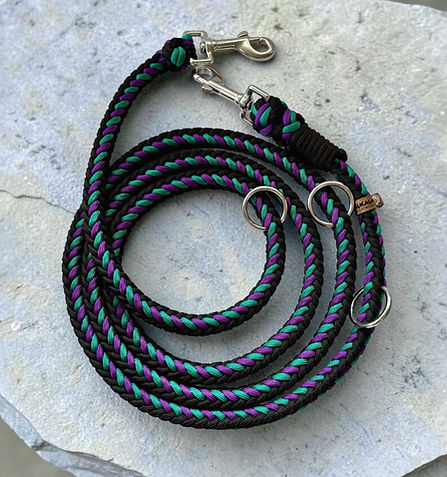 Paracord-Hundeleine-mittelgrosse Hunde