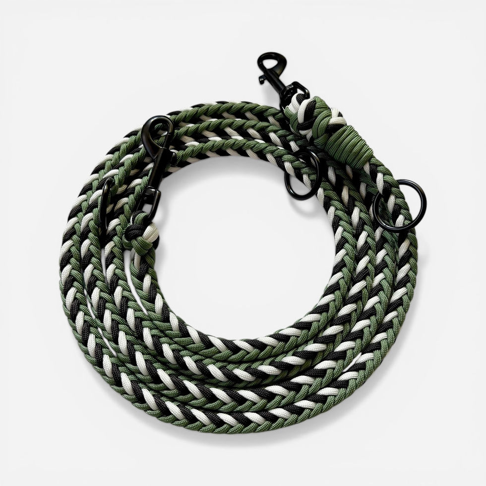 Paracord vs Tauleine – Welche Hundeleine passt besser zu dir und deinem Hund??