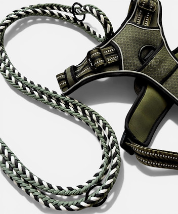 paracord-hundeleine-schweiz.jpg