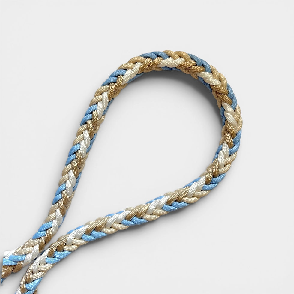 Führleine aus Biothane und Paracord aus der Schweiz in beige, weiss, polarblau