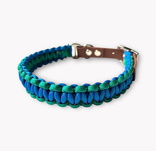 Paracord-Halsband mit Biothane für kleine Hunde in Grün und Blau