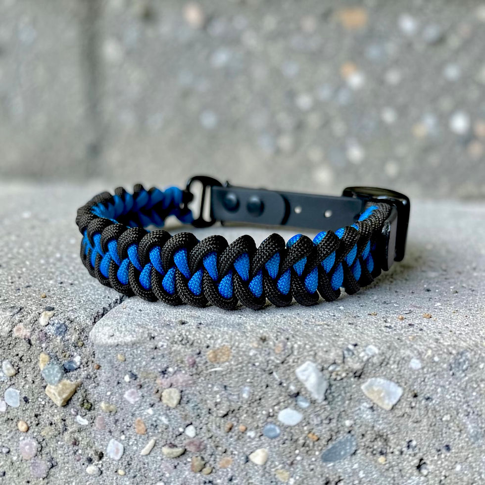 Miniaturbild: hundehalsband aus Paracord in Blau und Schwarz
