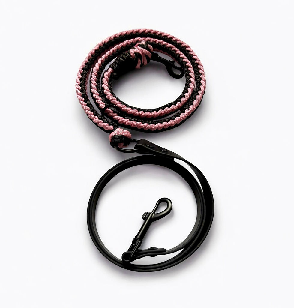 Klassische Führleine für Hunde mit Paracord und Biothane.