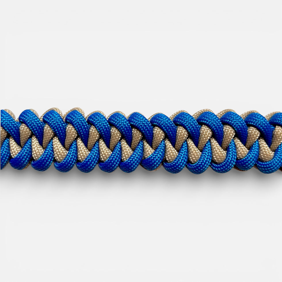 Paracord-hundehalsband für kleine Hunde in blau und beige