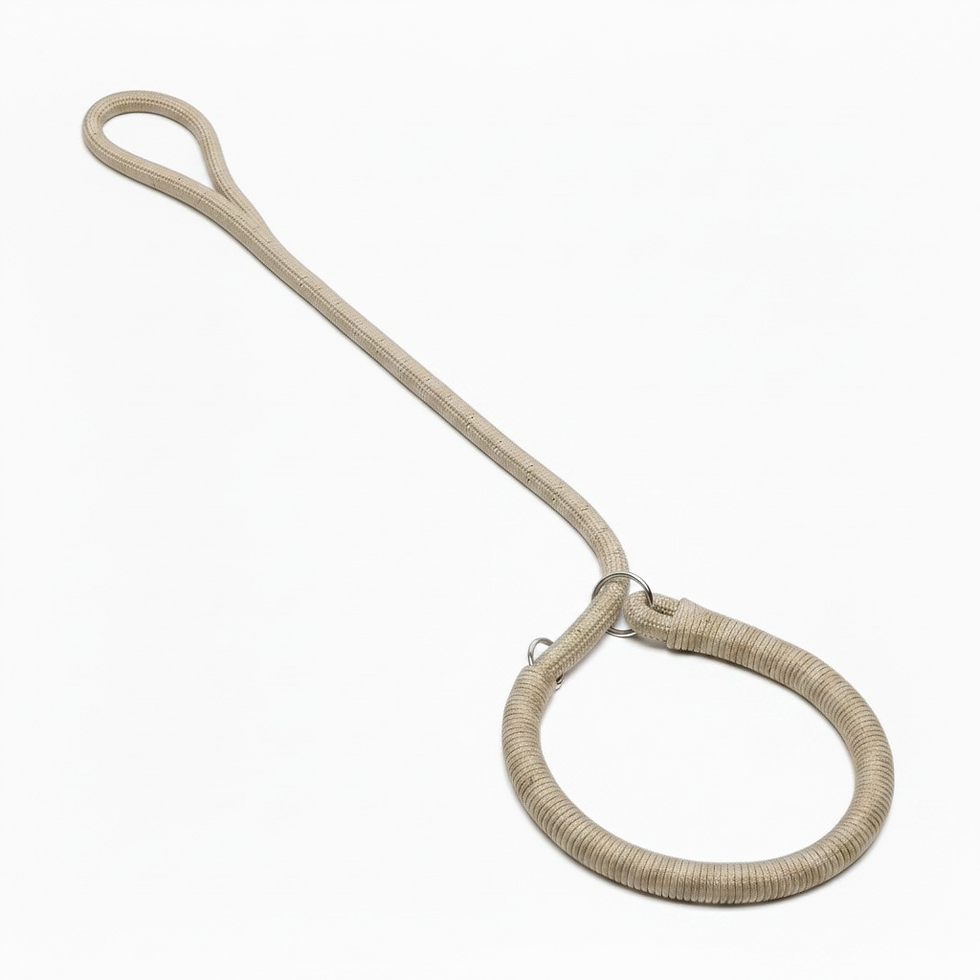 Retriverleine für Hunde in Beige.