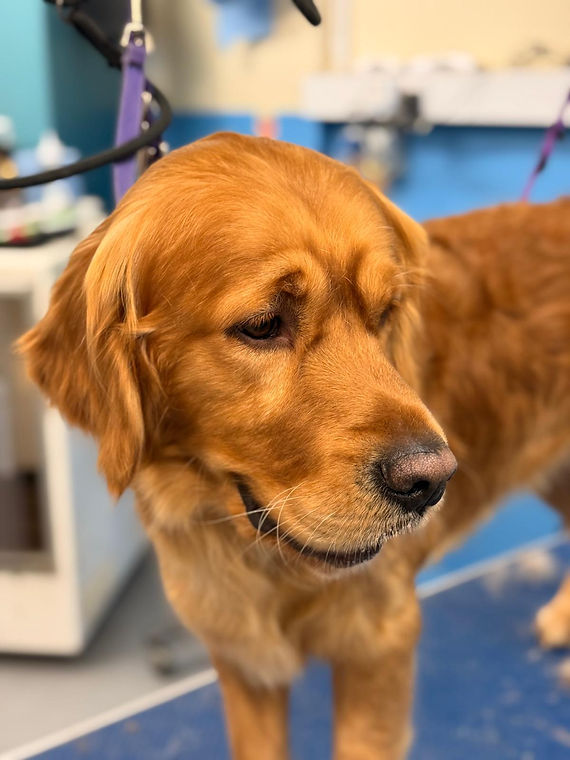 WhatsApp Image 2026-01-27 at 07.40.25 (1).jpeg