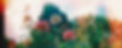 a2 - Copy (2)_edited.jpg