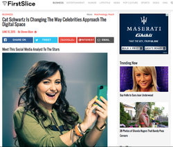 FirstSlice Article on Cat