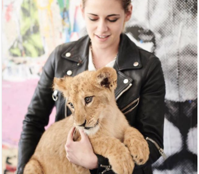 @BlackJaguarWhiteTiger - My New Position!