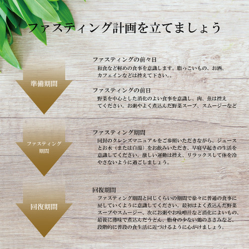 クレンズ ファスティング 2セット Amazon.co.jp: 石原医師監修 2日間 ジュースクレンズ