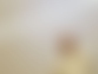 ’Muslimer skal ikke omvendes men accepteres’