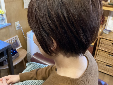 2020.11/28 初めてのハーブカラー