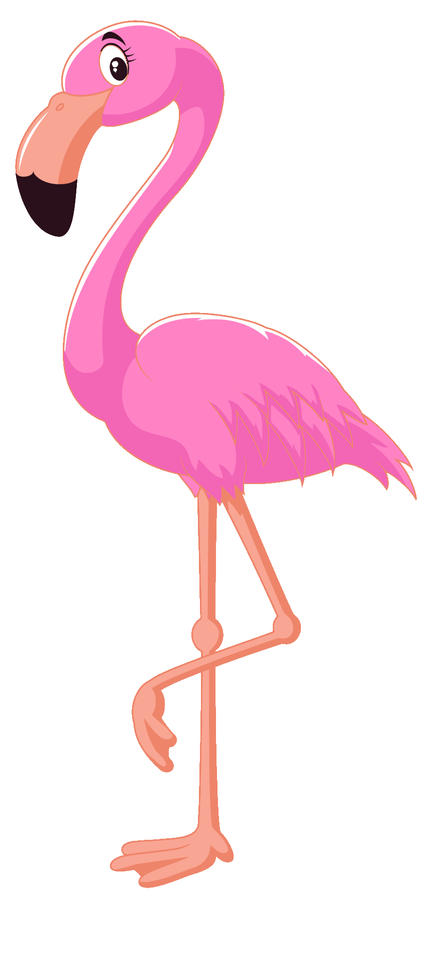 pink-flamingo-clipart-hd-png-download.gif