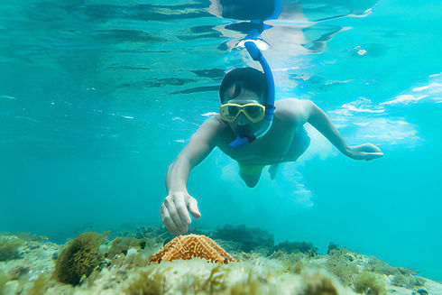 starfish guy_054916.jpg