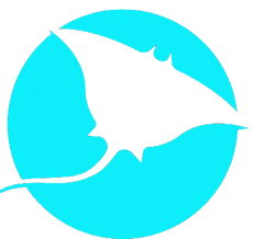 stingray icon