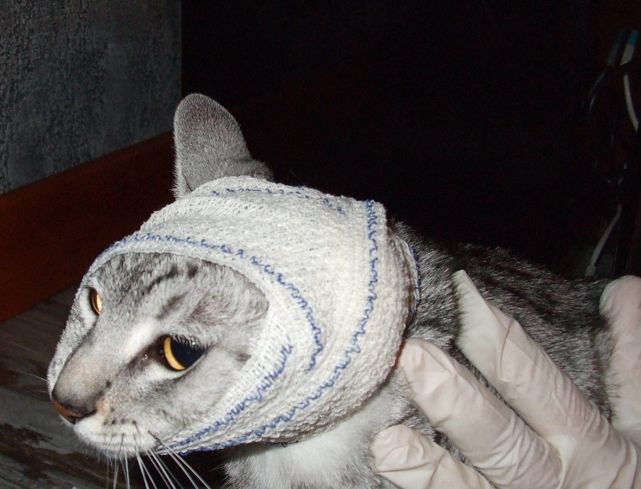 chat_bandage