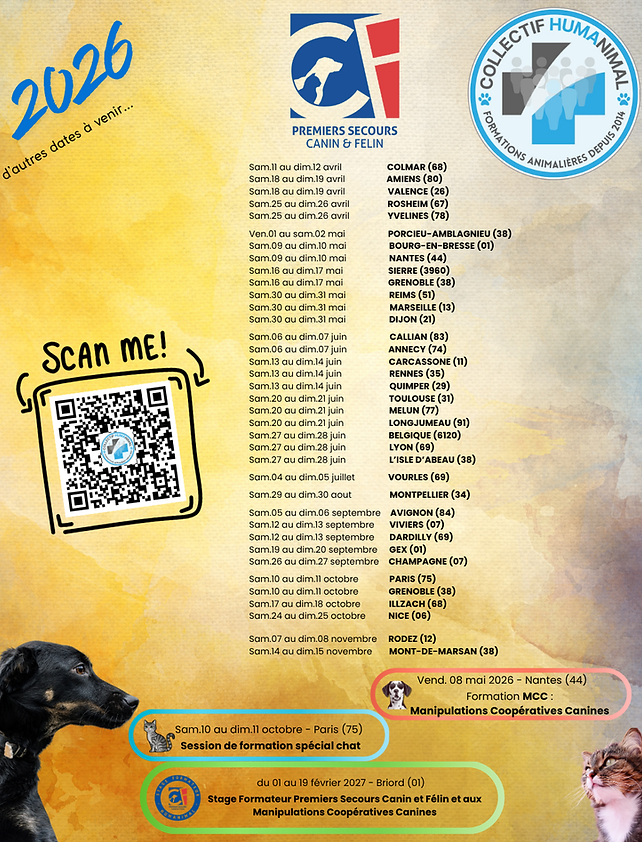 Copie de Calendrier 2016.png