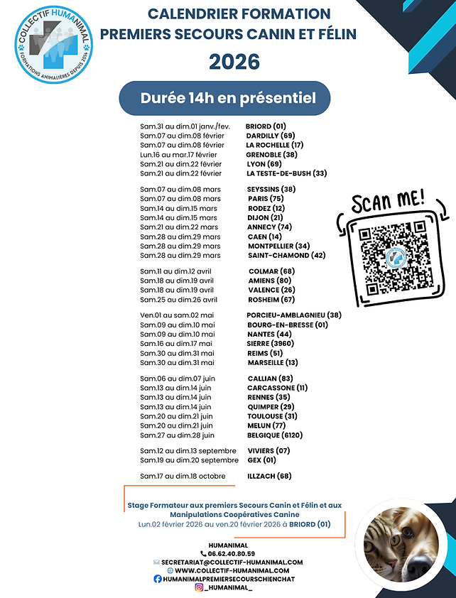 Calendrier de formation.png