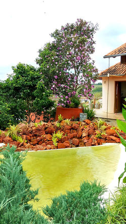 IMG_20171119_095834589_HDR_edited