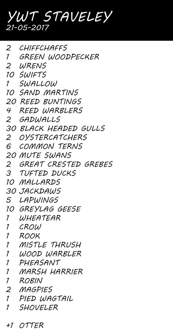 Staveley (Yorkshire Wildlife Trust)