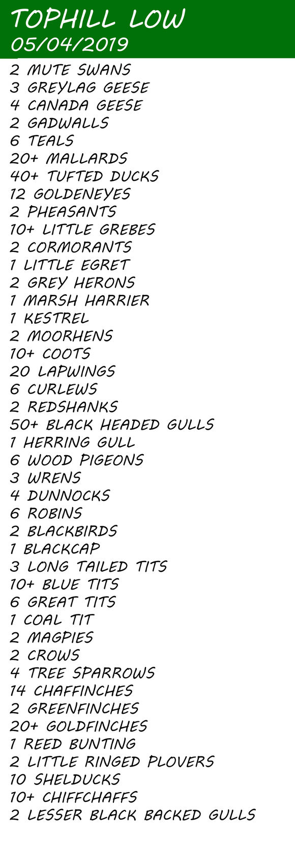 GLOURIOUS GREY HERON @ TOPHILL LOW NATURE RESERVE