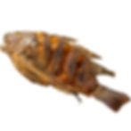 Fried Peppered Tilapia Fish