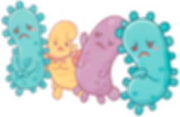 Bacterias buenas solas_edited_edited.png
