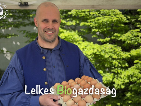 Lelkes Biogazdaság