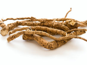 Eibischwurzel bei Erkältung: Sanfter Schutz für Hals und Rachen