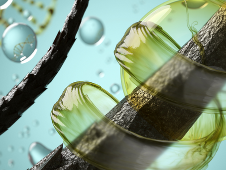 O que é tricologia quântica e como ela pode te beneficiar?