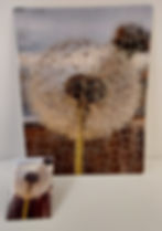 Thumbnail: Puzzles