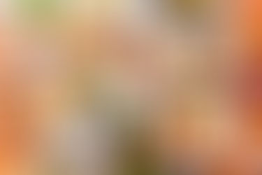 A wooden table with diverse brunch items: waffles, eggs, bacon, salad, and drinks. Vibrant colors create an inviting, cozy atmosphere.