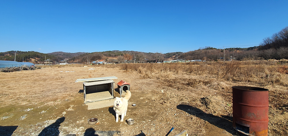 뭉뭉