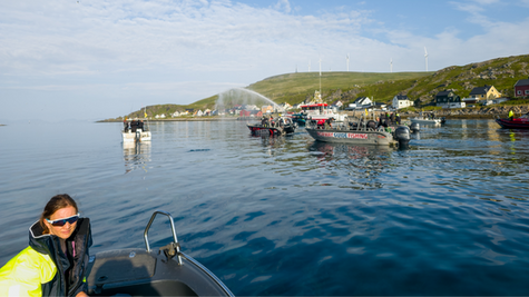 Havøysund, kveitefiske