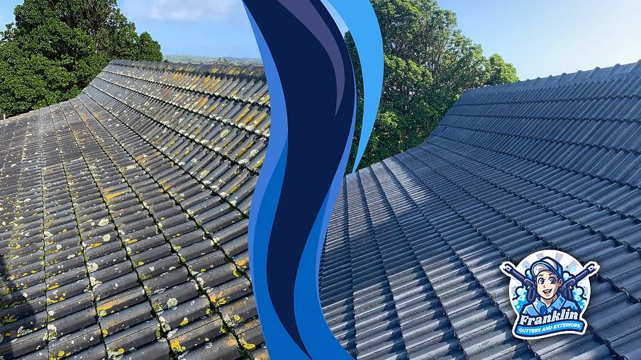 Franklin Gutters and Exteriors Roof Wash