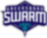 Men's Ministry- G'bo Swarm Game