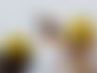 Stellungnahme zur Absage des Ferienlagers der Kolpingsfamilie Grefrath