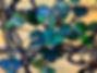 IMG_7646.jpeg