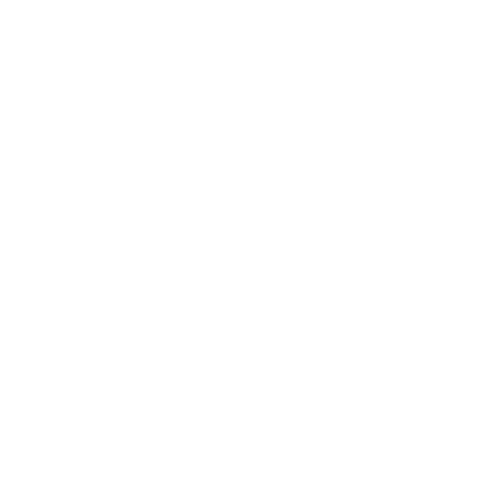icons8-behance-500.png