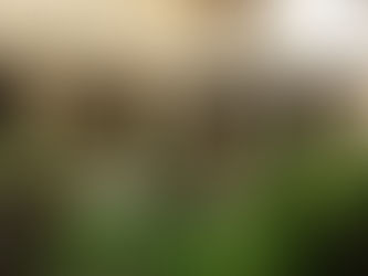 Duchovné slovo: 11. nedeľa v roku b