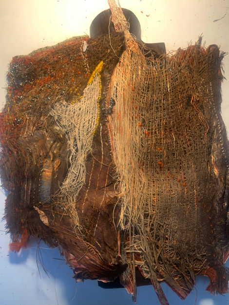 Palm bark treated with steel wool, thread, acrylic paint, textile techniques such as embroidery and lace-making.
Year: 2024