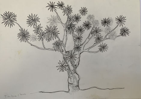 "Naturaleza"
