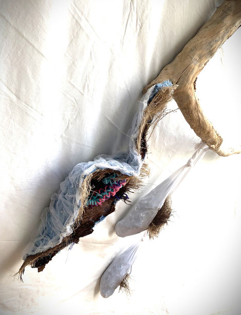 Nest Chrysalis