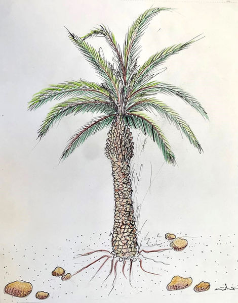 "Palmeras"