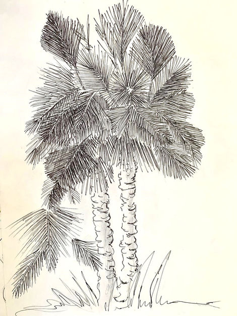 "Palmeras"
