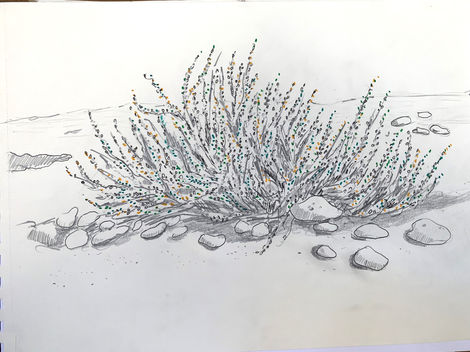 "Natualeza"
