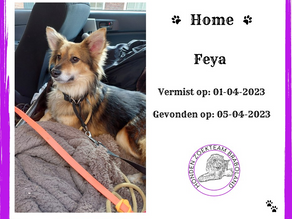Update: Feya, Breda.